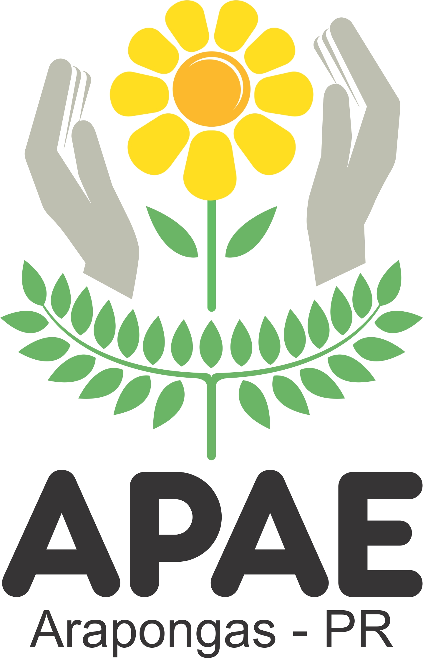 Apae De Arapongas